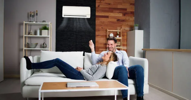 Couple relaxing at home with a ductless mini-split heat pump providing heating and cooling