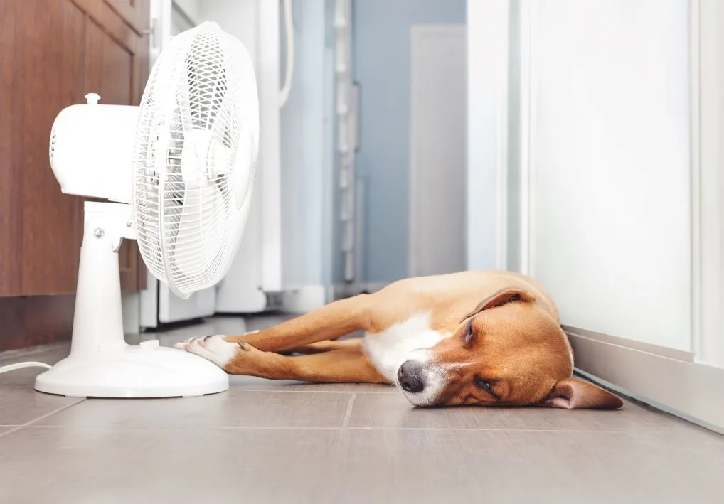 Air Conditioning Is Not Cooling? Here's What Might Be Wrong
